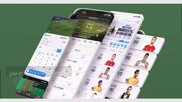 为政府、企业和个人提供电子税务申报及咨询服务。